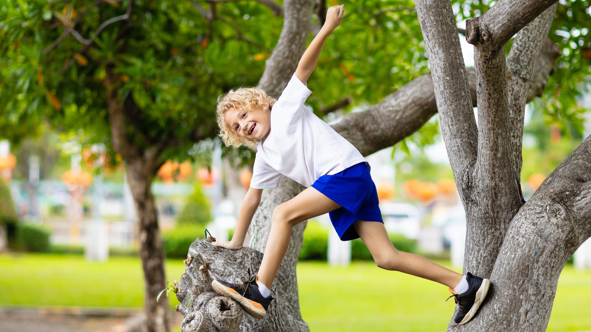 Risky Play - A Natural Part of Children’s Healthy Development